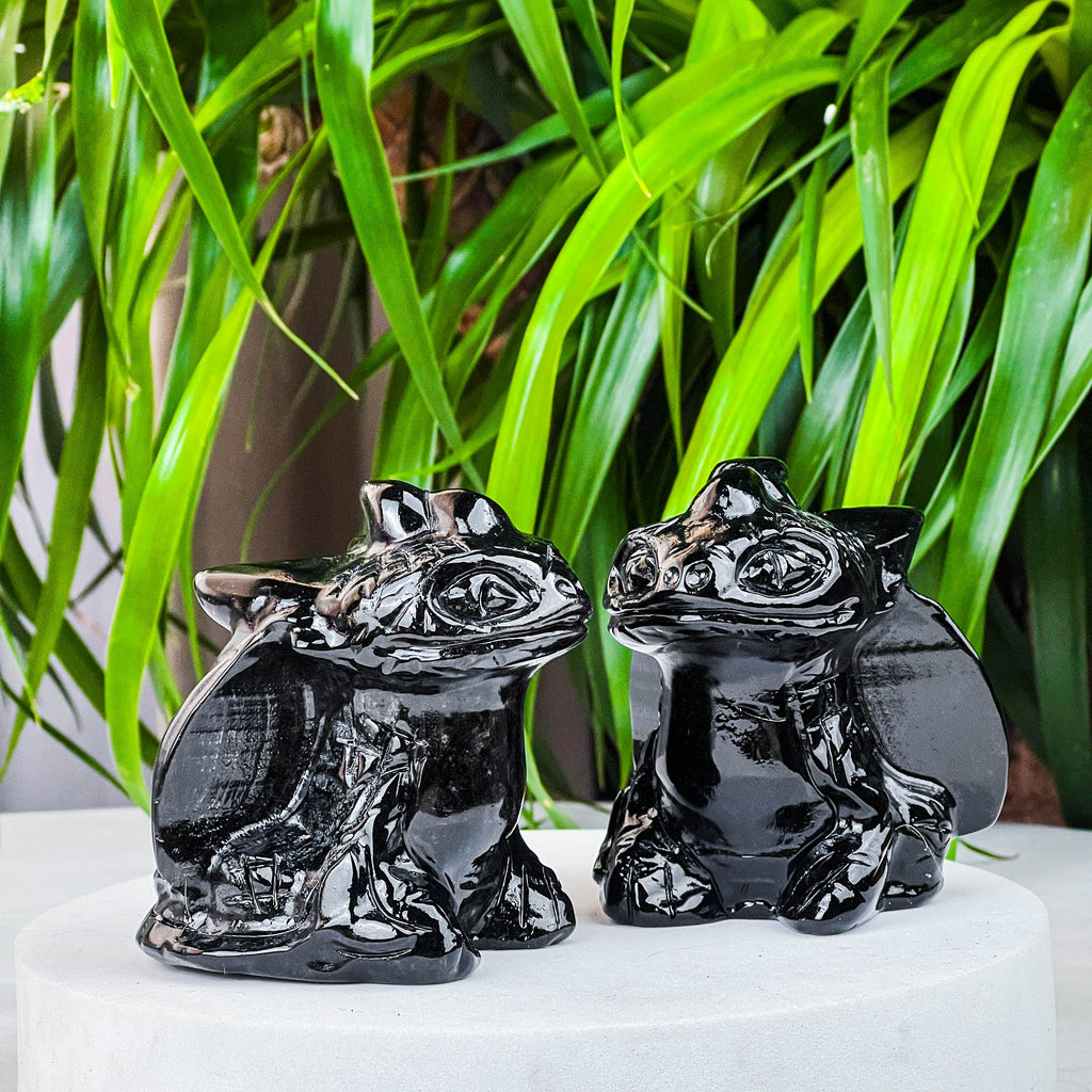 black obsidian toothles