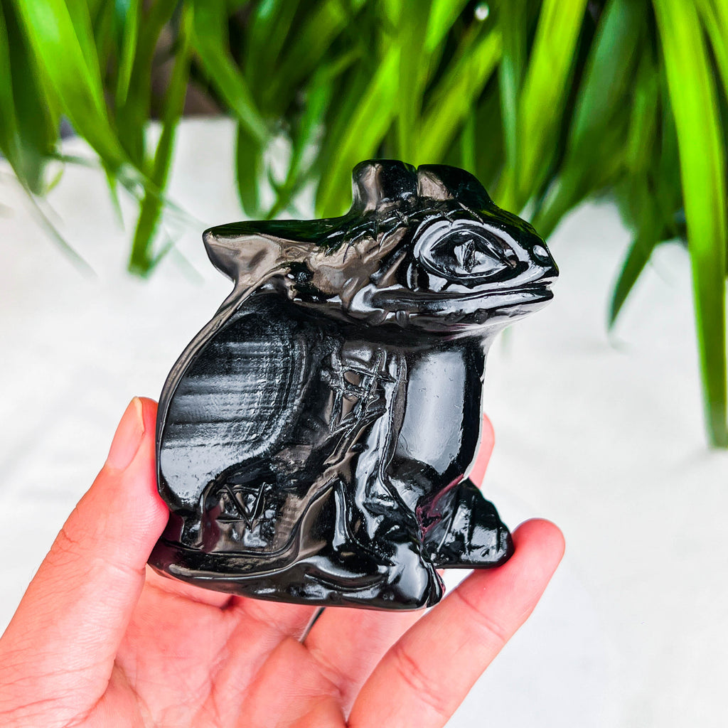 black obsidian toothles
