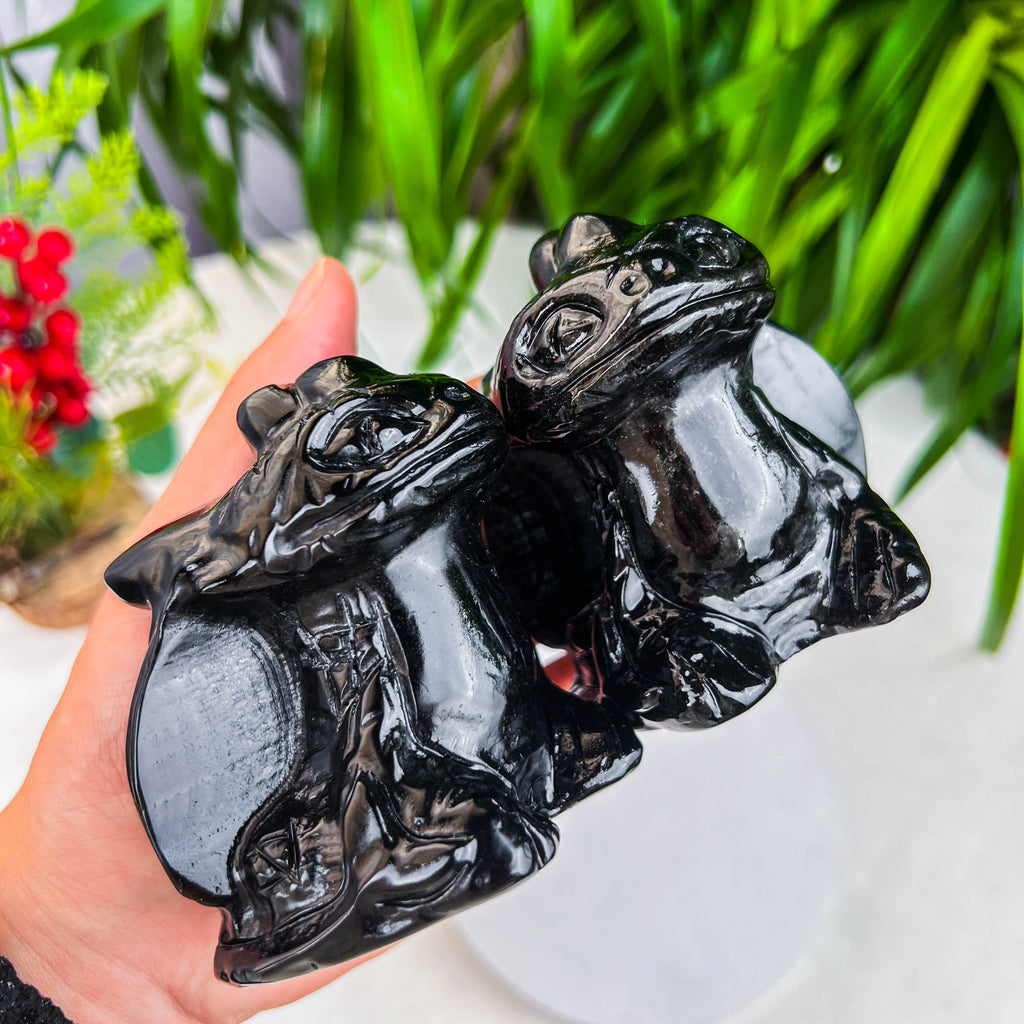black obsidian toothles