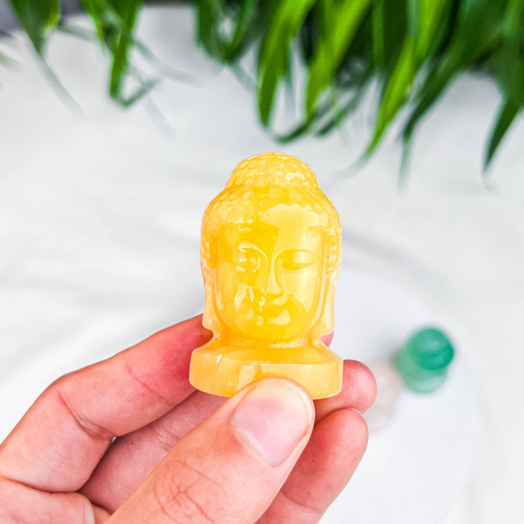 buddha hand