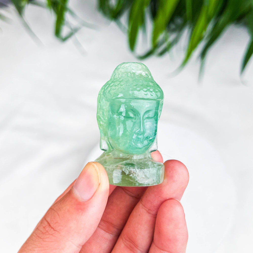 buddha hand
