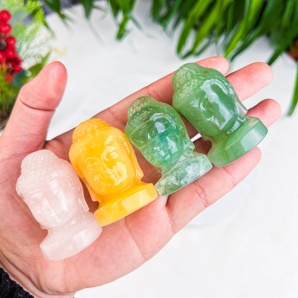 buddha hand