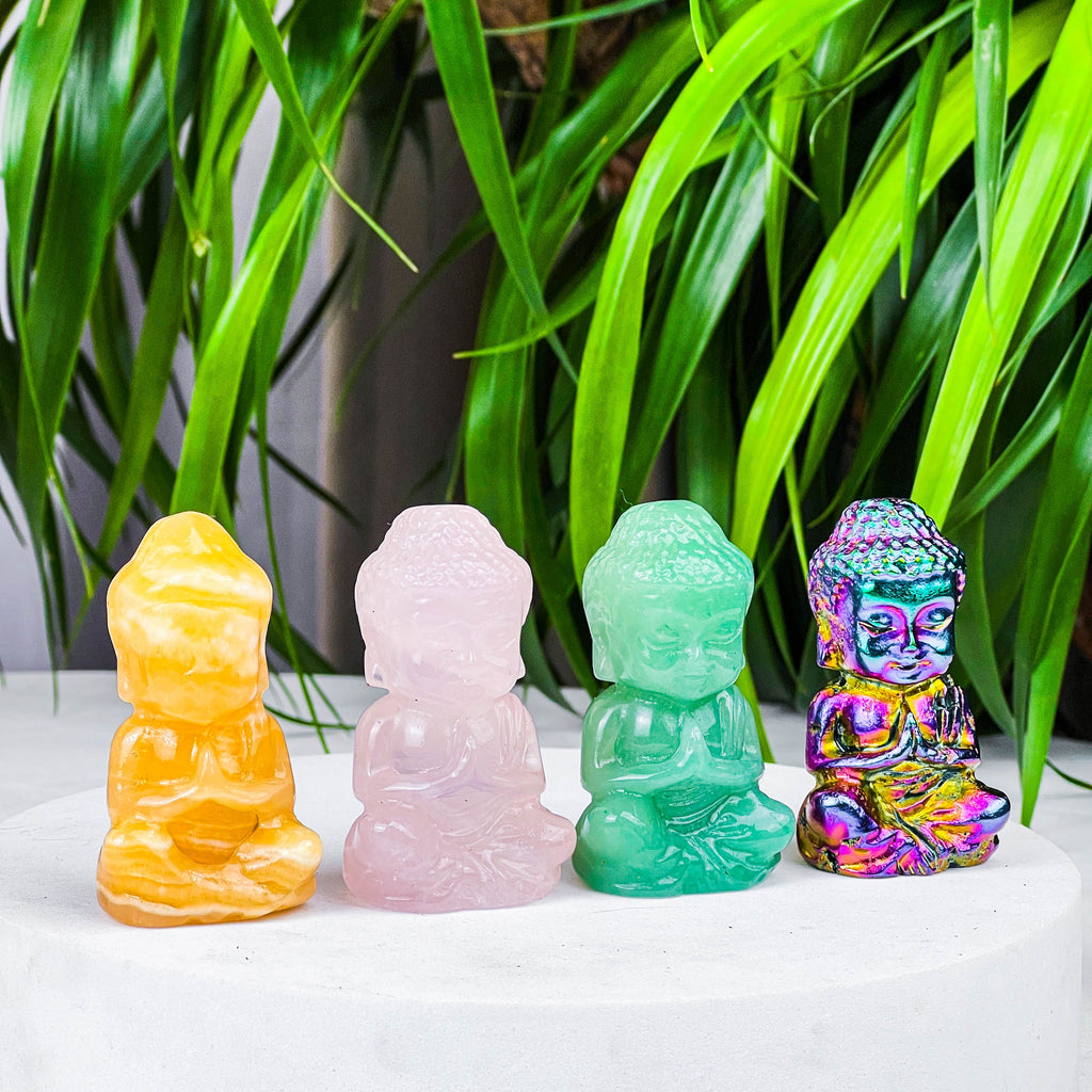 baby buddhass