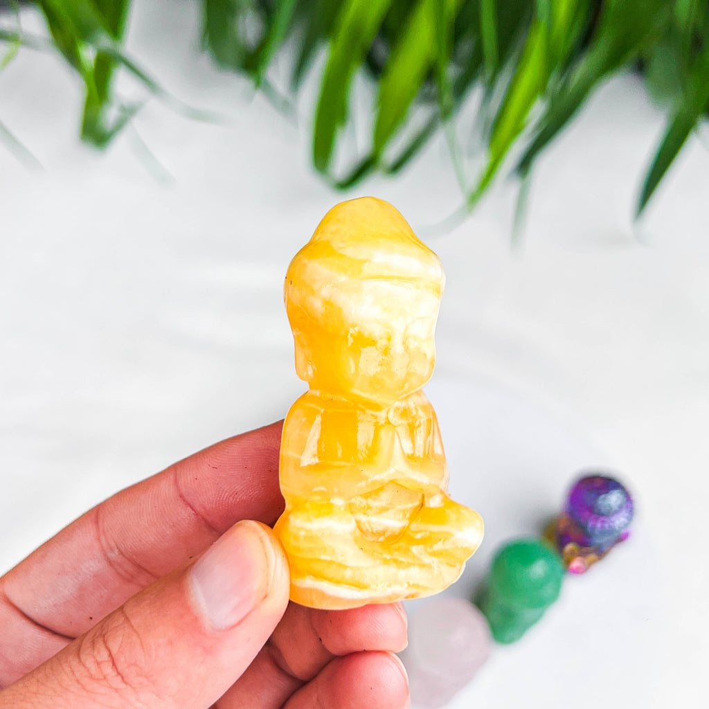 baby buddhass