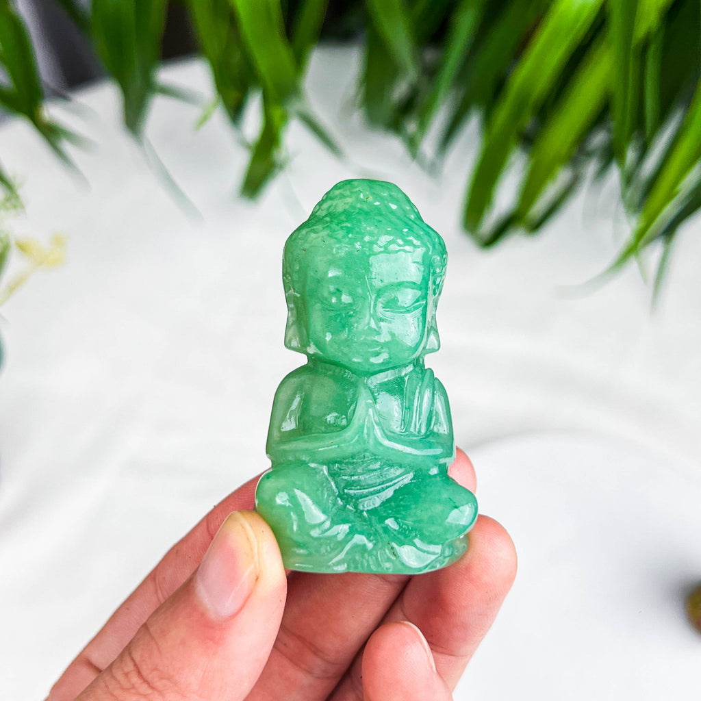 baby buddhass