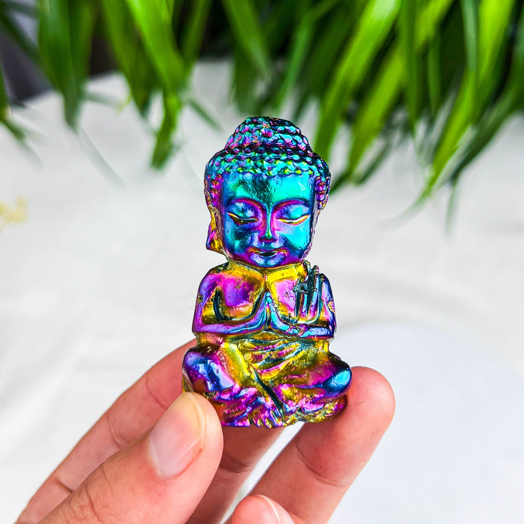 baby buddhass