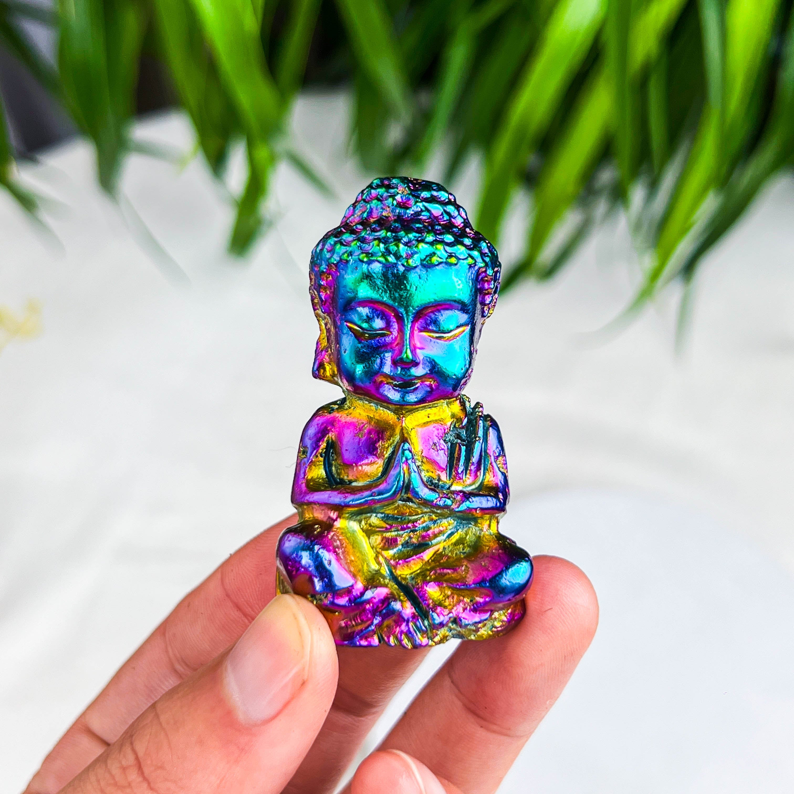 baby buddhass