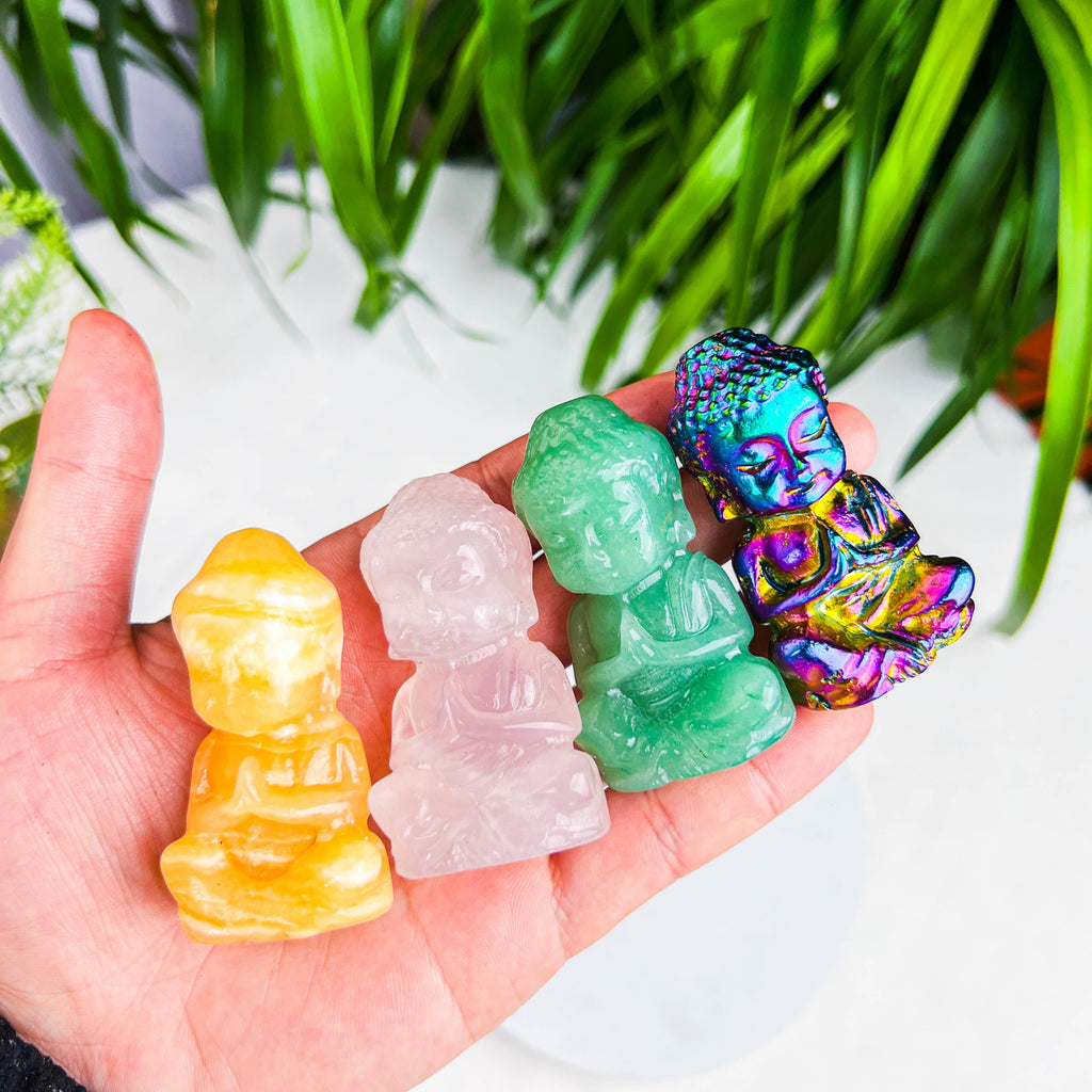 baby buddhass