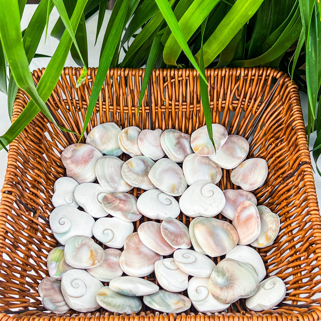 shell heart