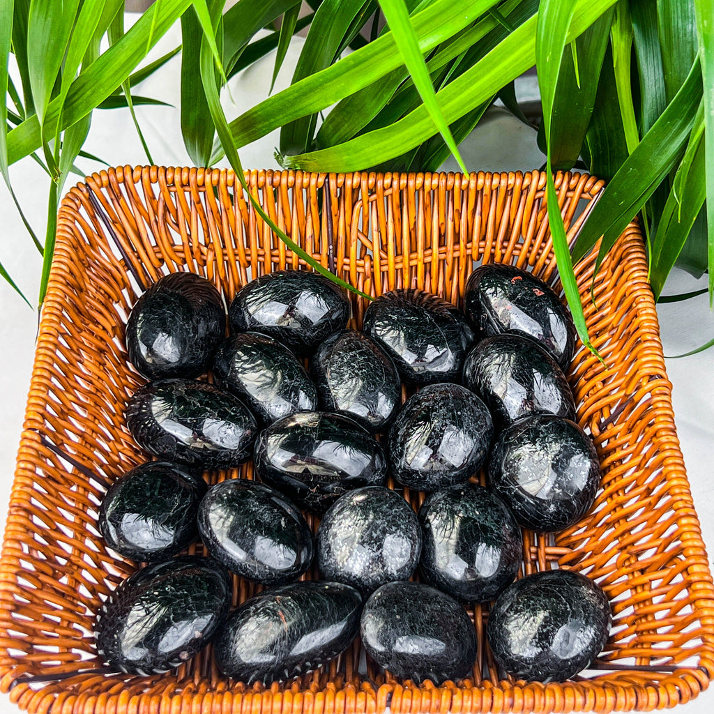 black tourmaline palm