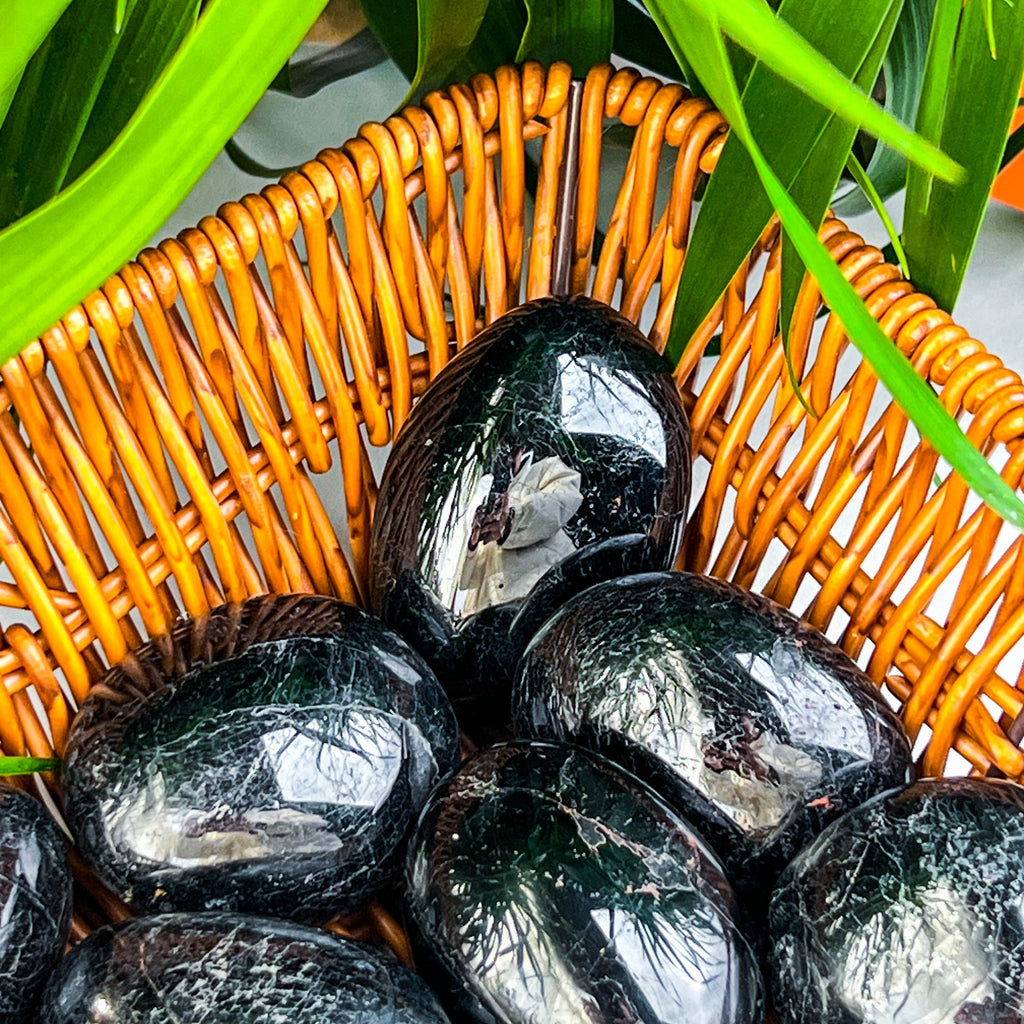 black tourmaline palm