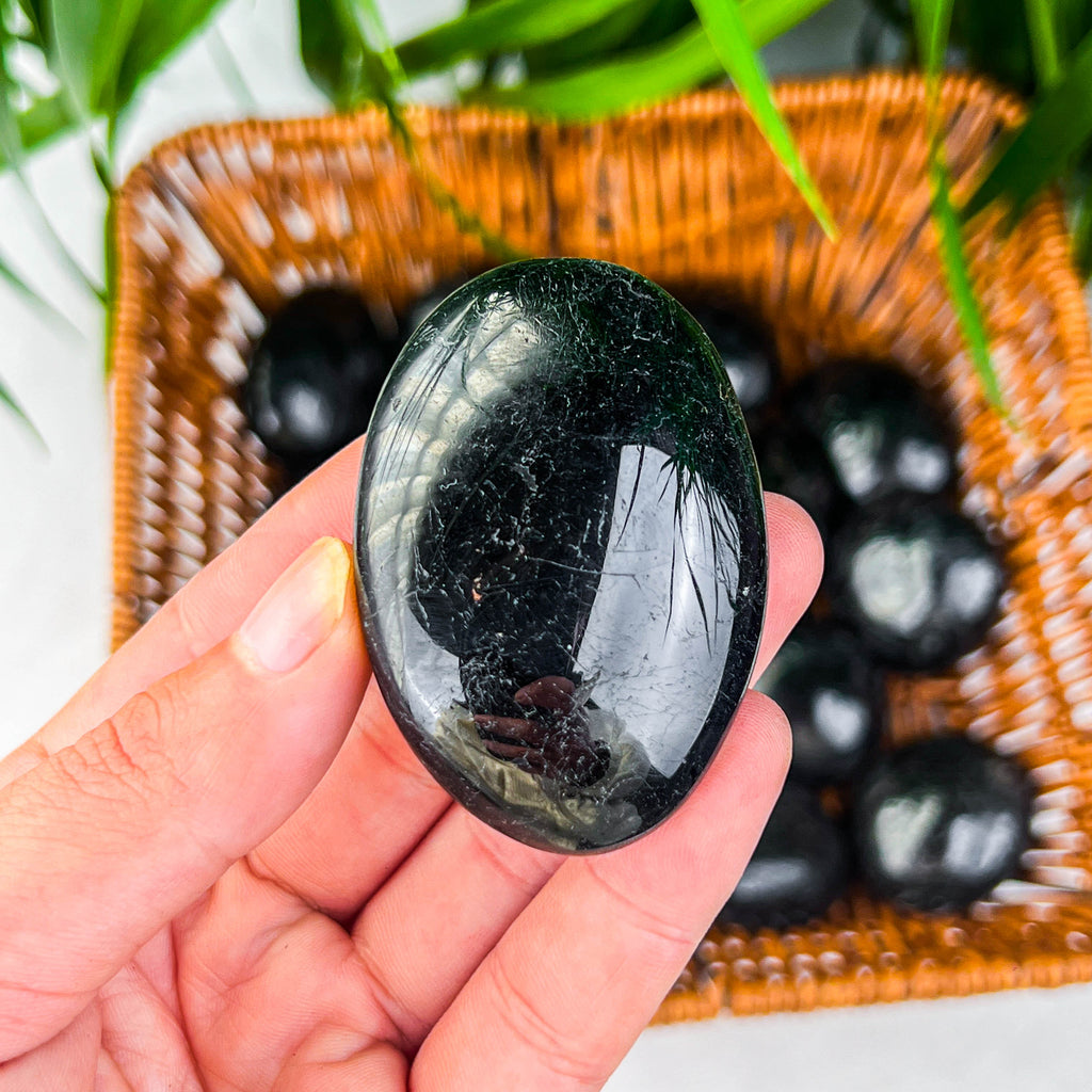 black tourmaline palm