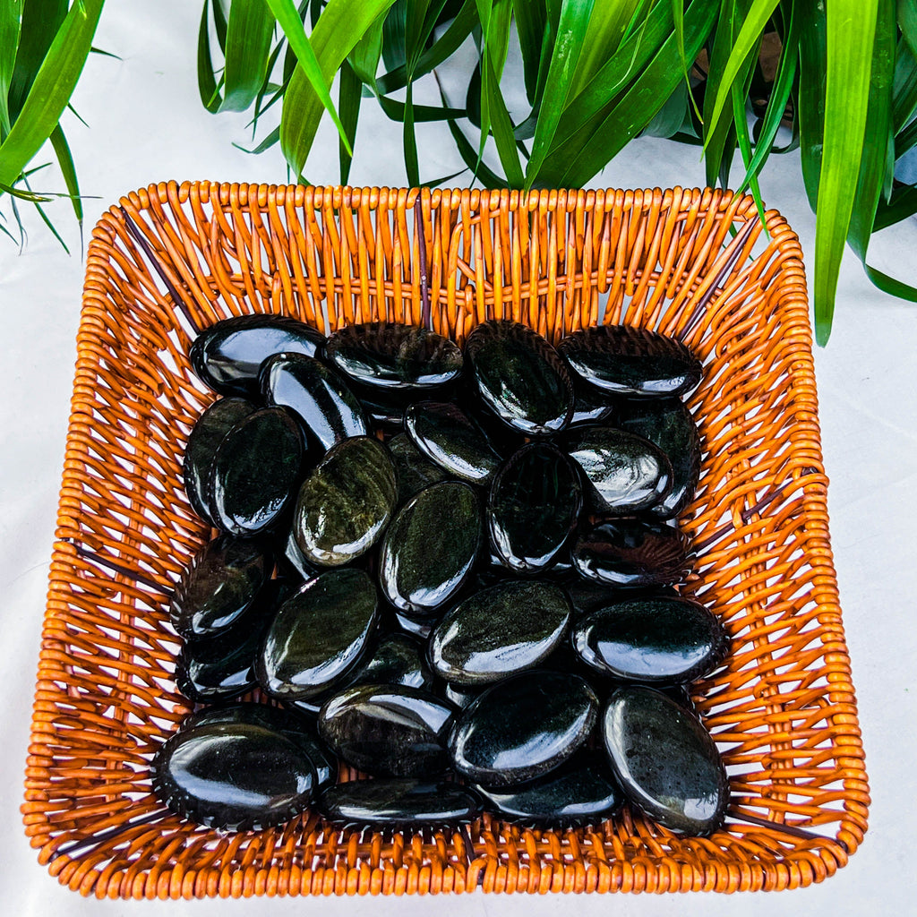 golden obsidian palm