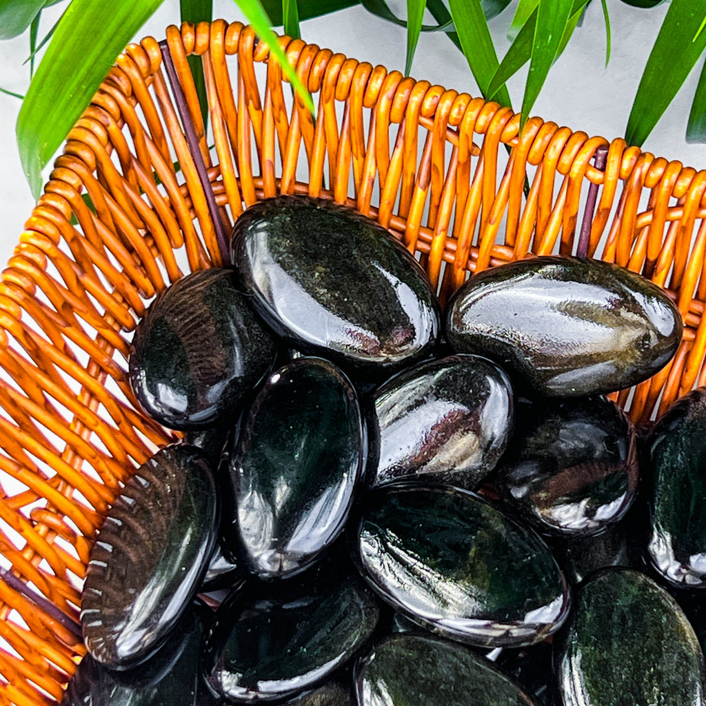golden obsidian palm