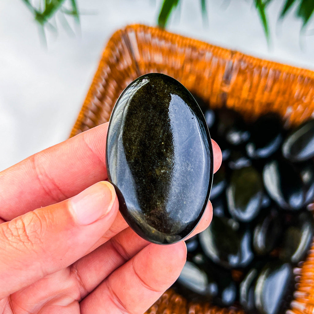 golden obsidian palm