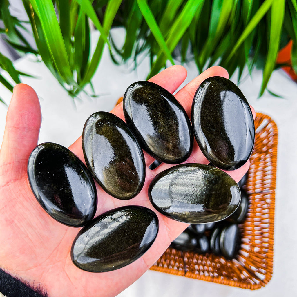 golden obsidian palm