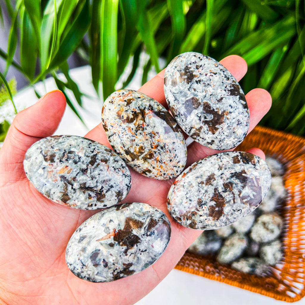 Yooperlite palm