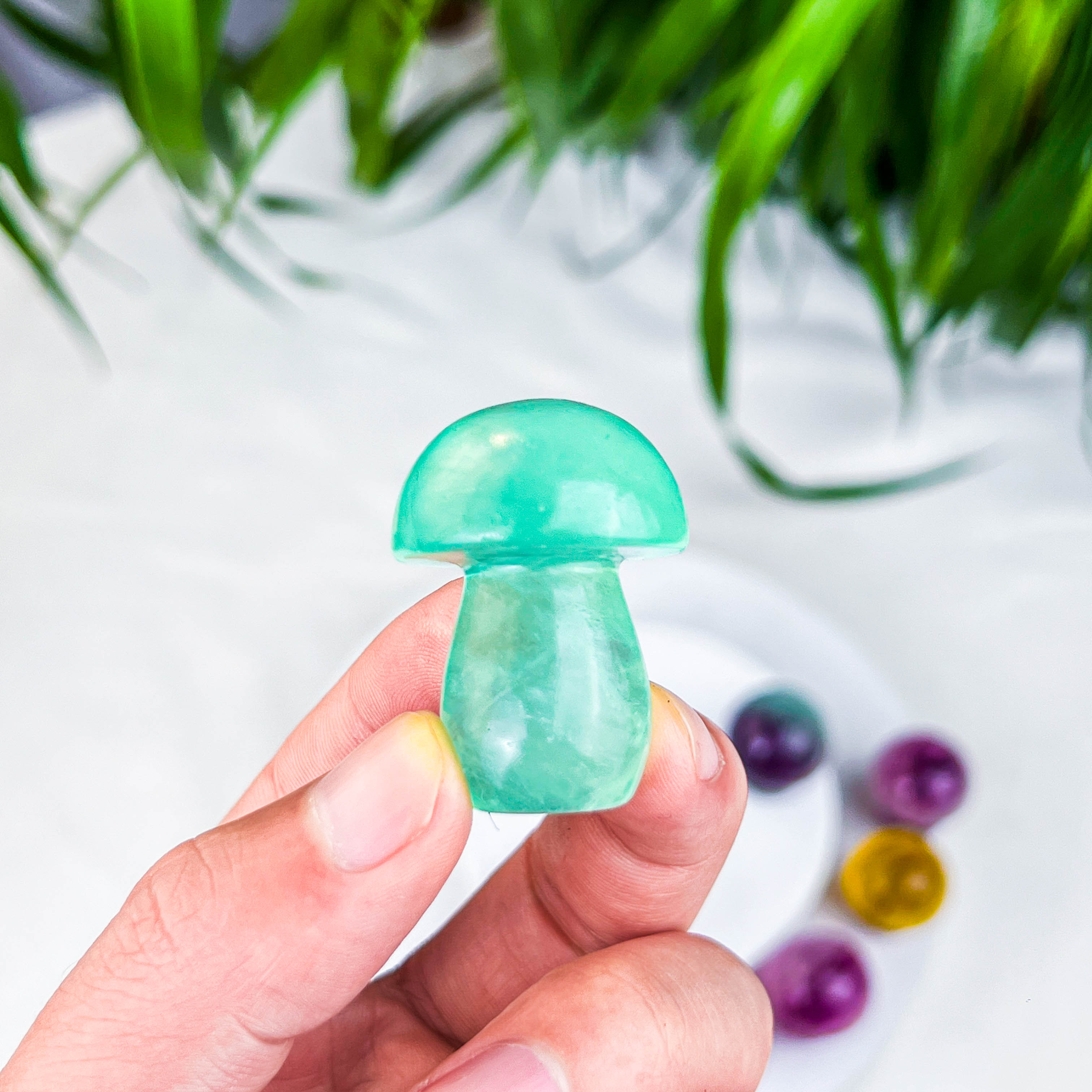 fluorite msuhroom