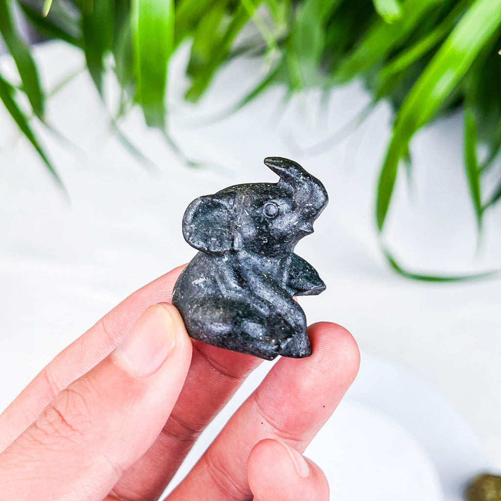 elephant