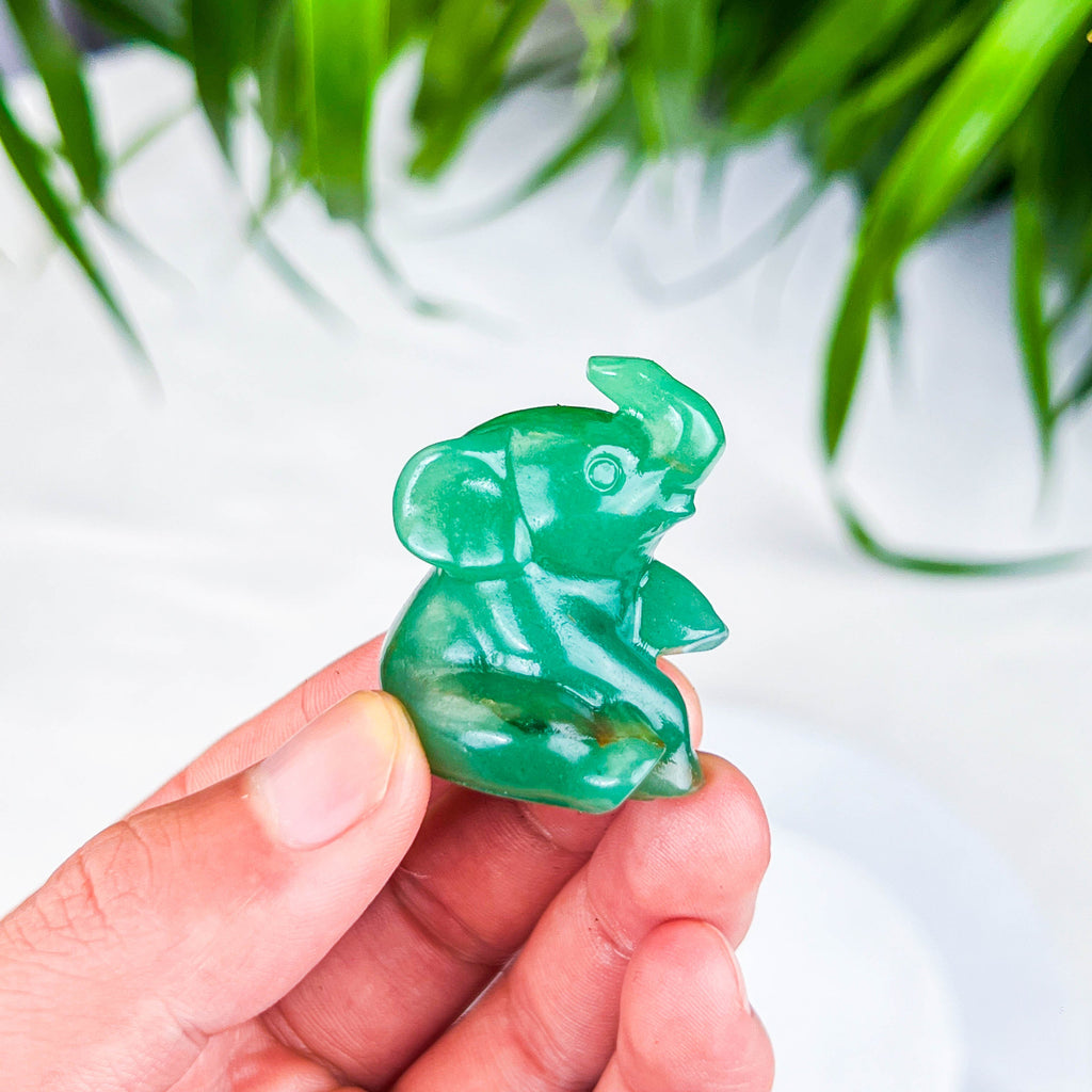 elephant