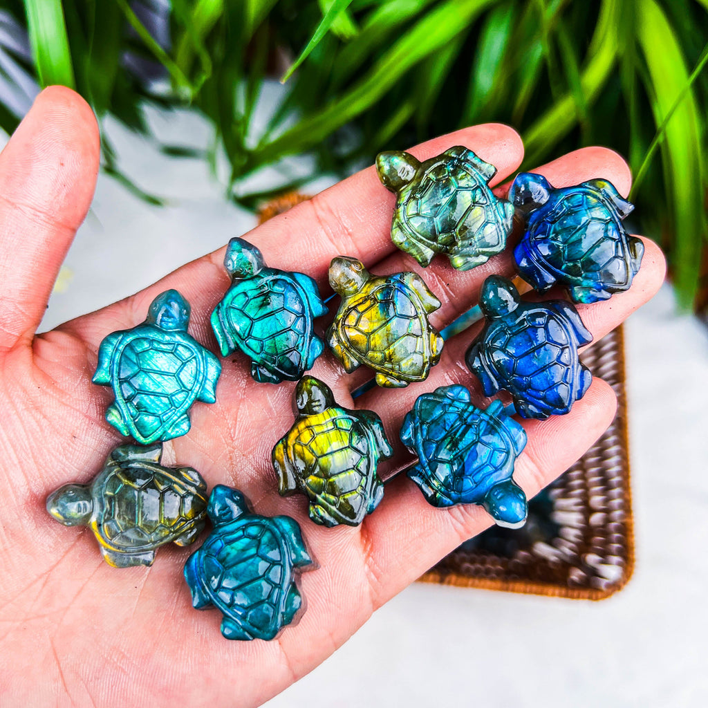labradorite turtle