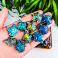 labradorite turtle
