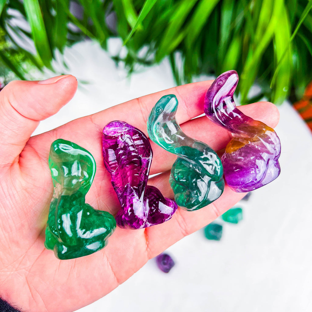 fluorite snake