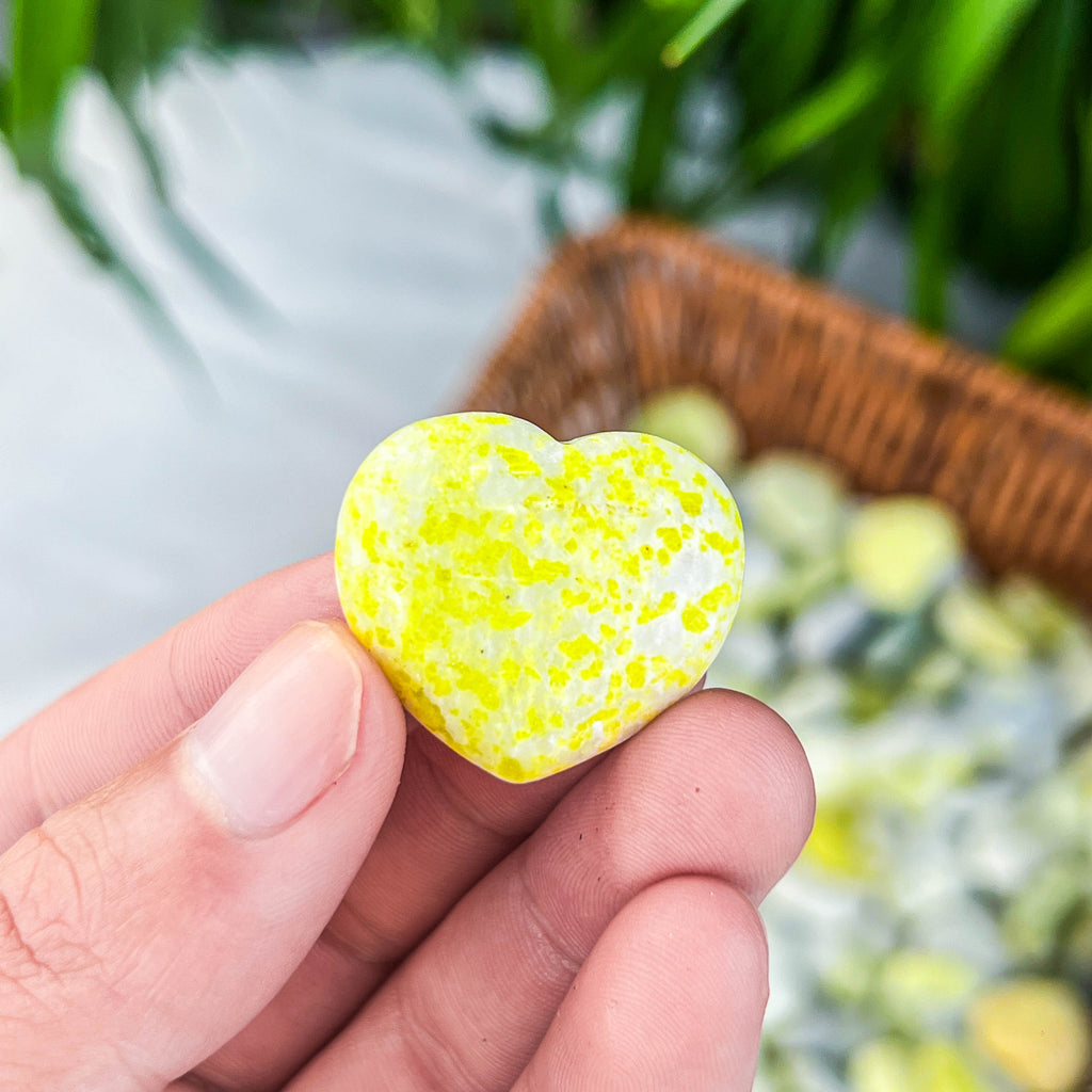 heart