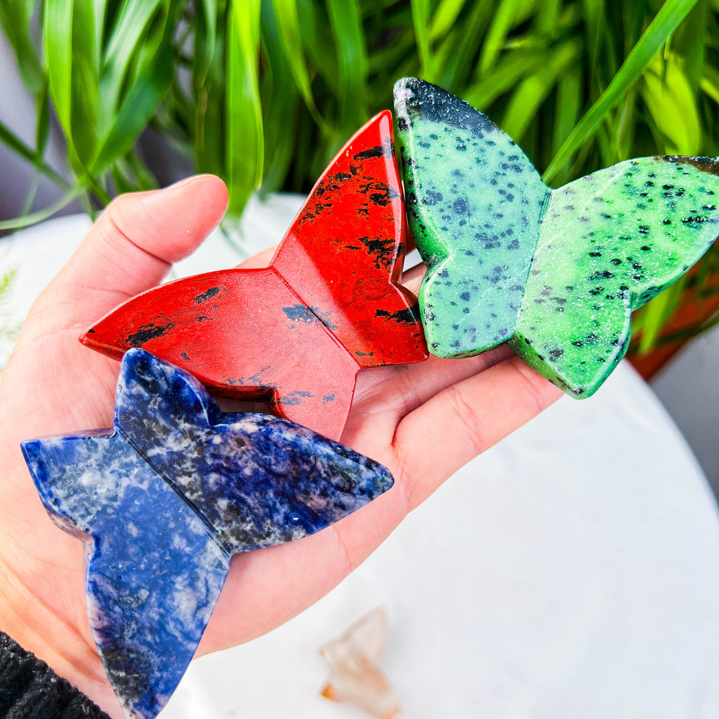 butterfly (medium)