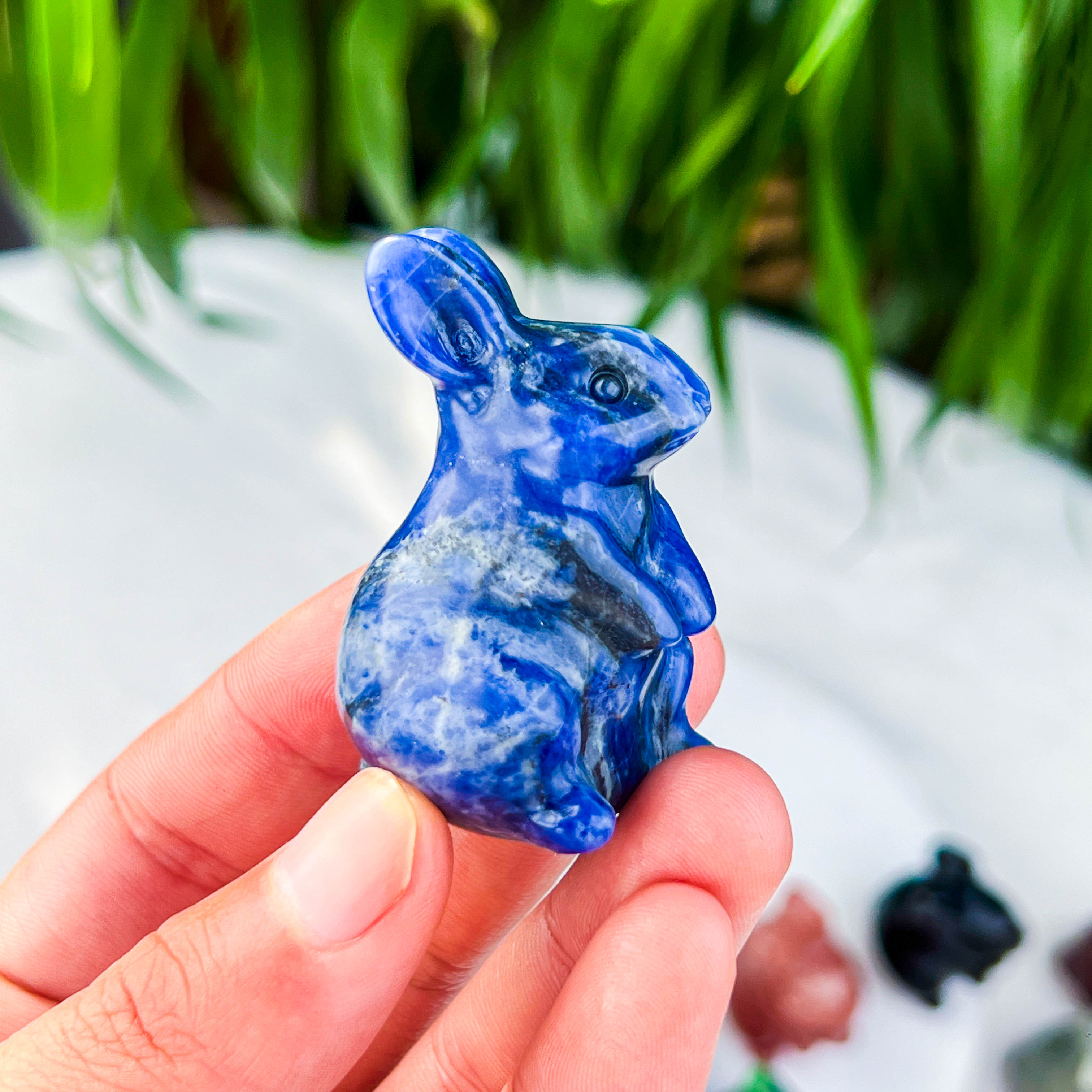 rabbite