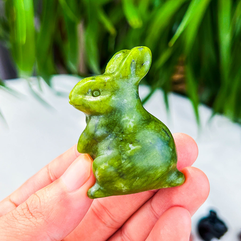 rabbite
