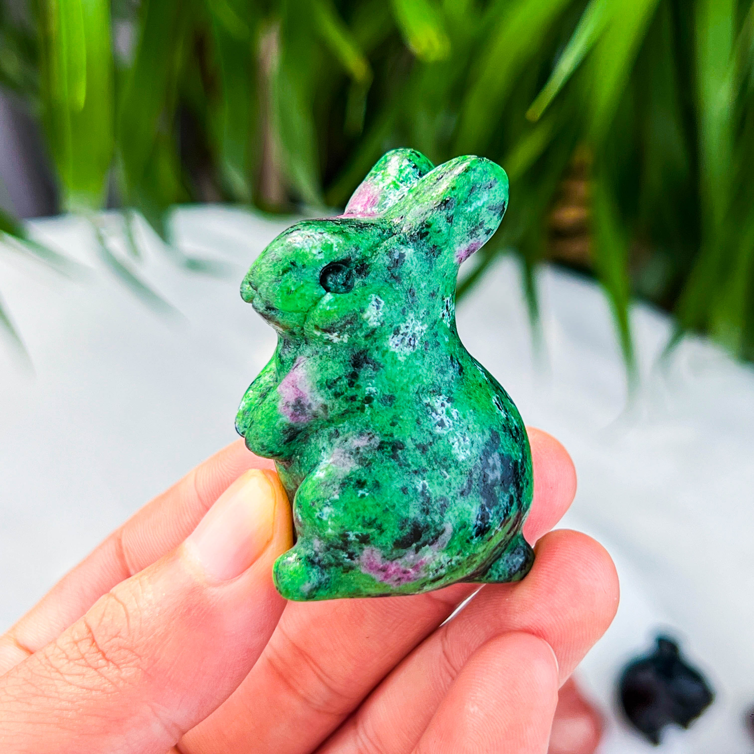 rabbite
