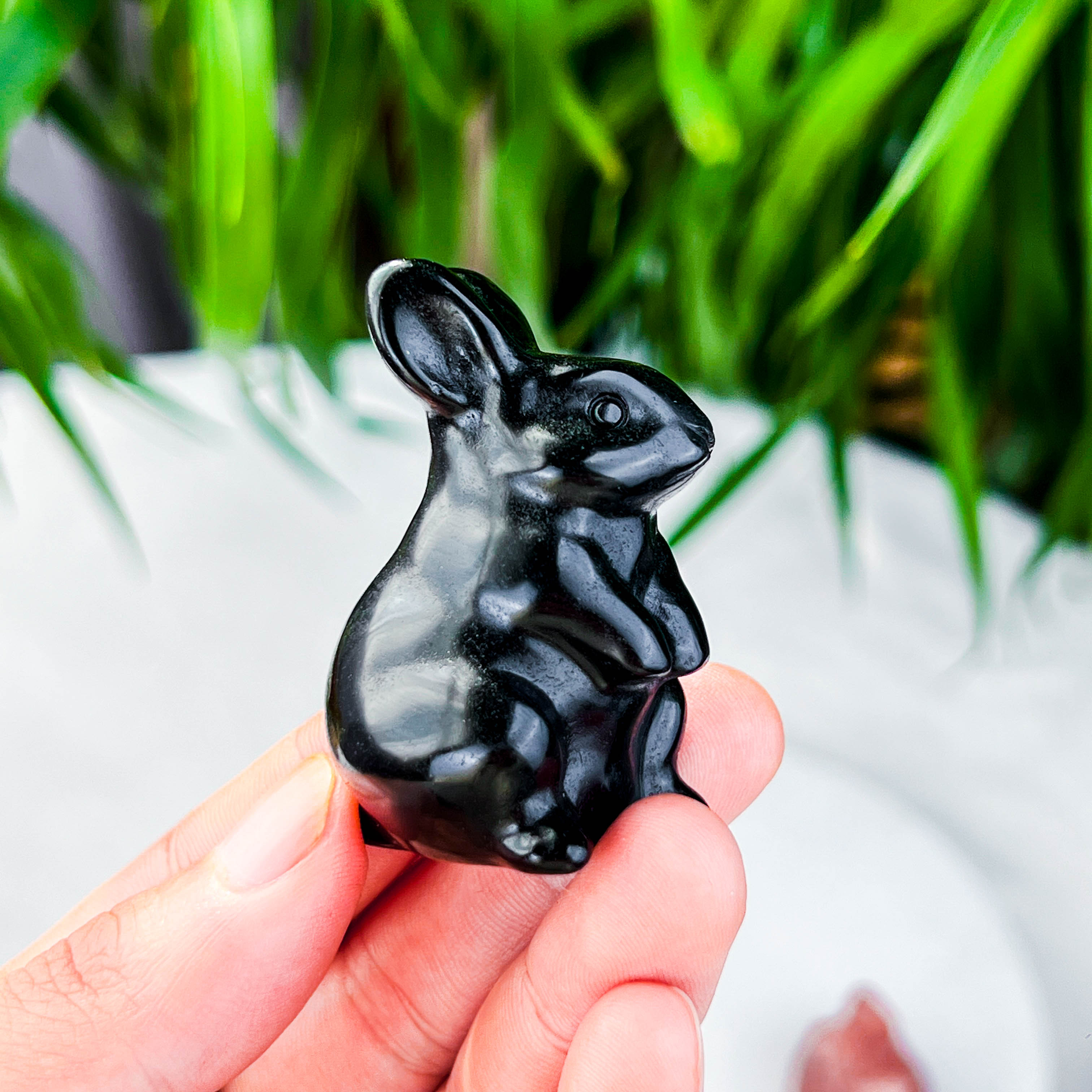 rabbite