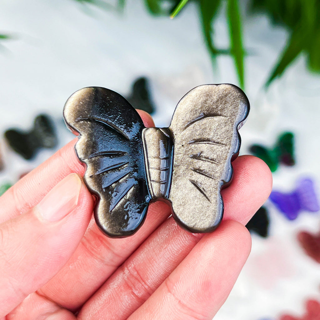butterfly (small)
