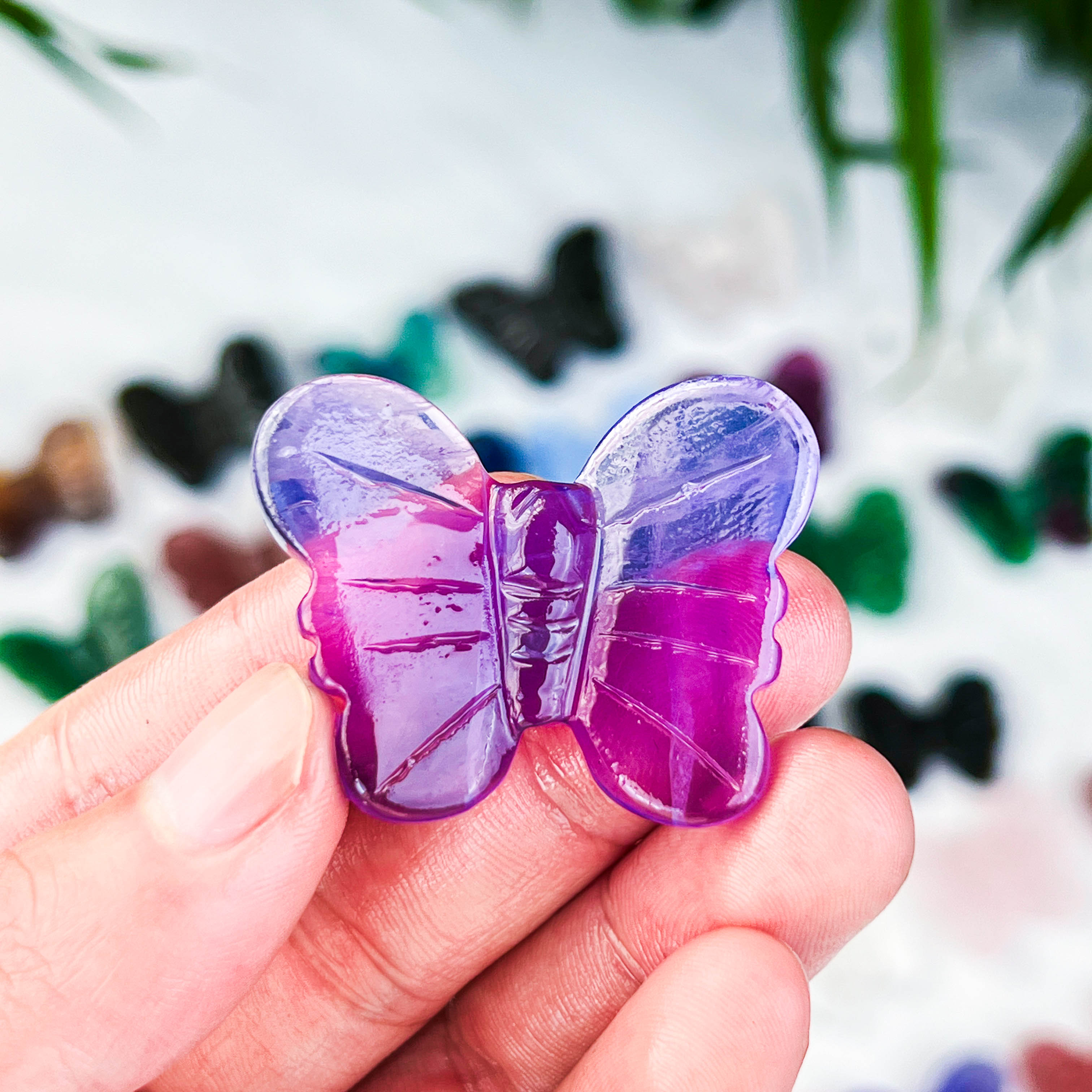 butterfly (small)