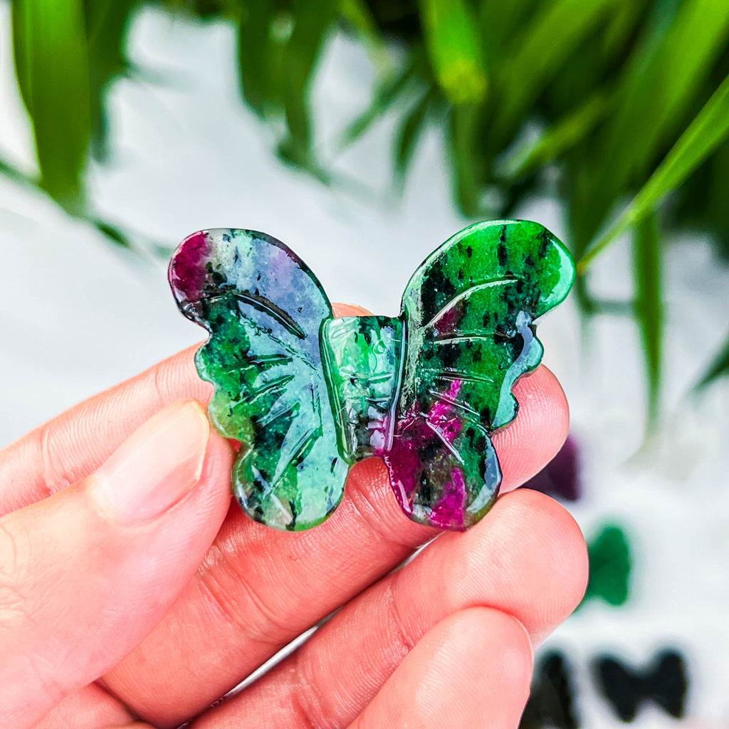 butterfly (small)