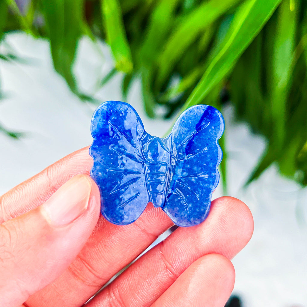 butterfly (small)