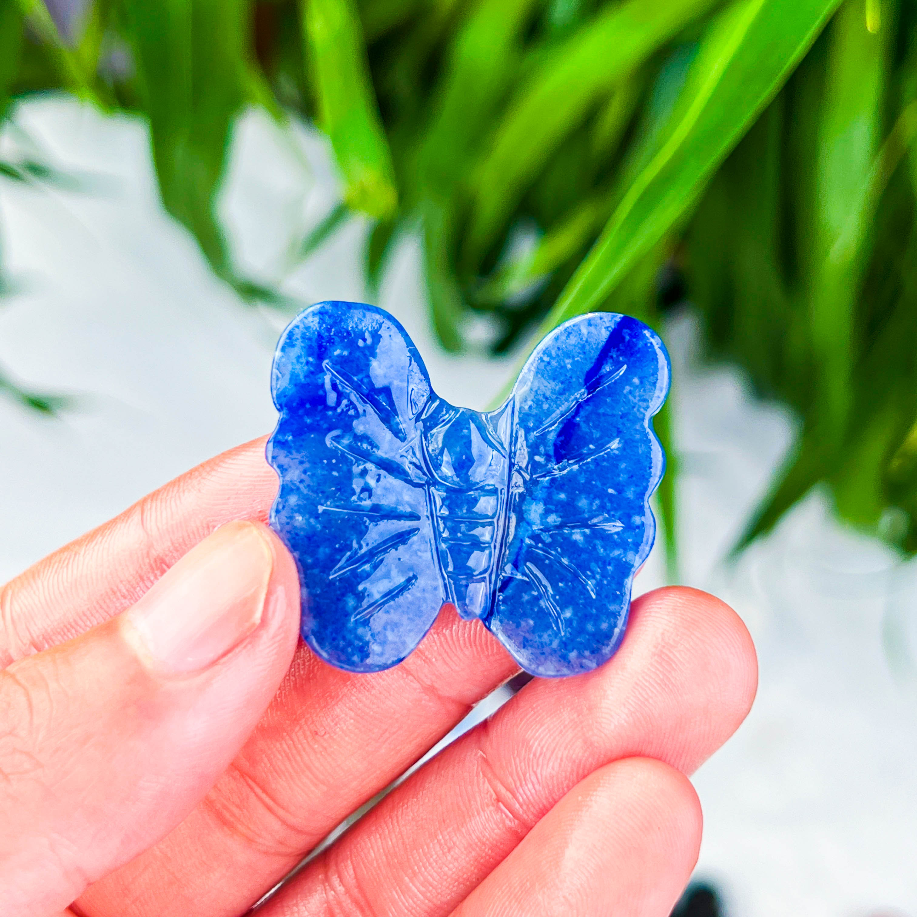 butterfly (small)