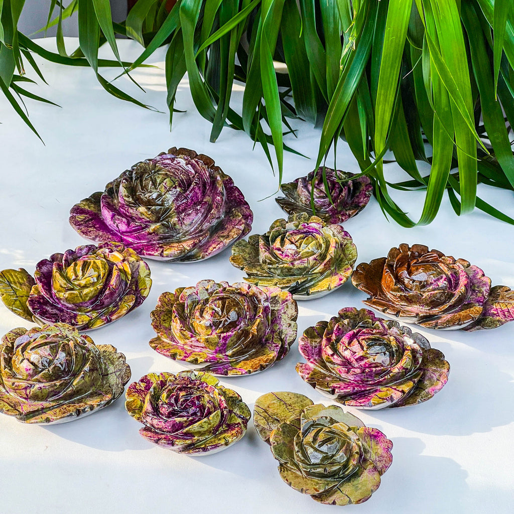 Atlantis rose