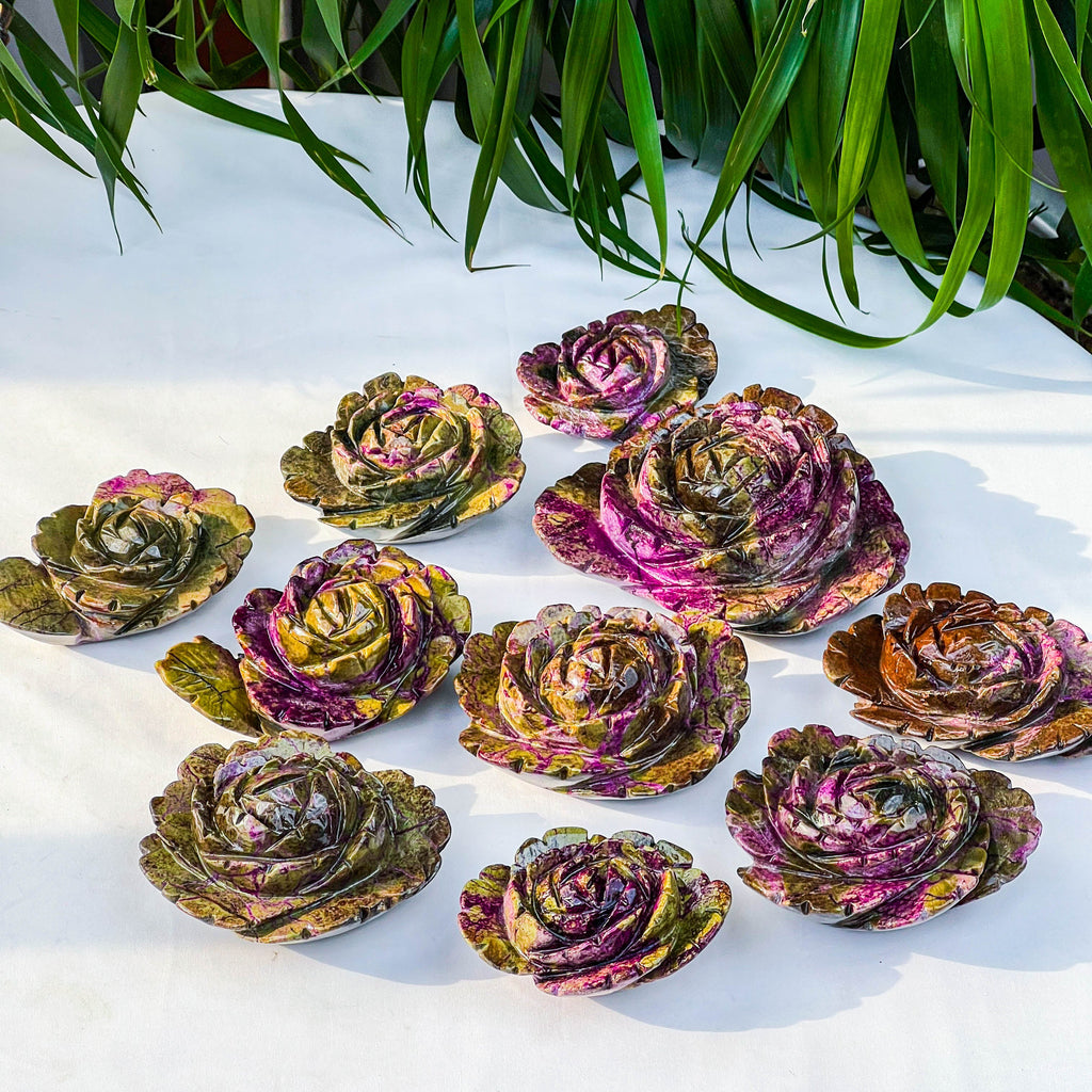 Atlantis rose