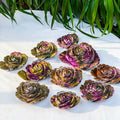 Atlantis rose