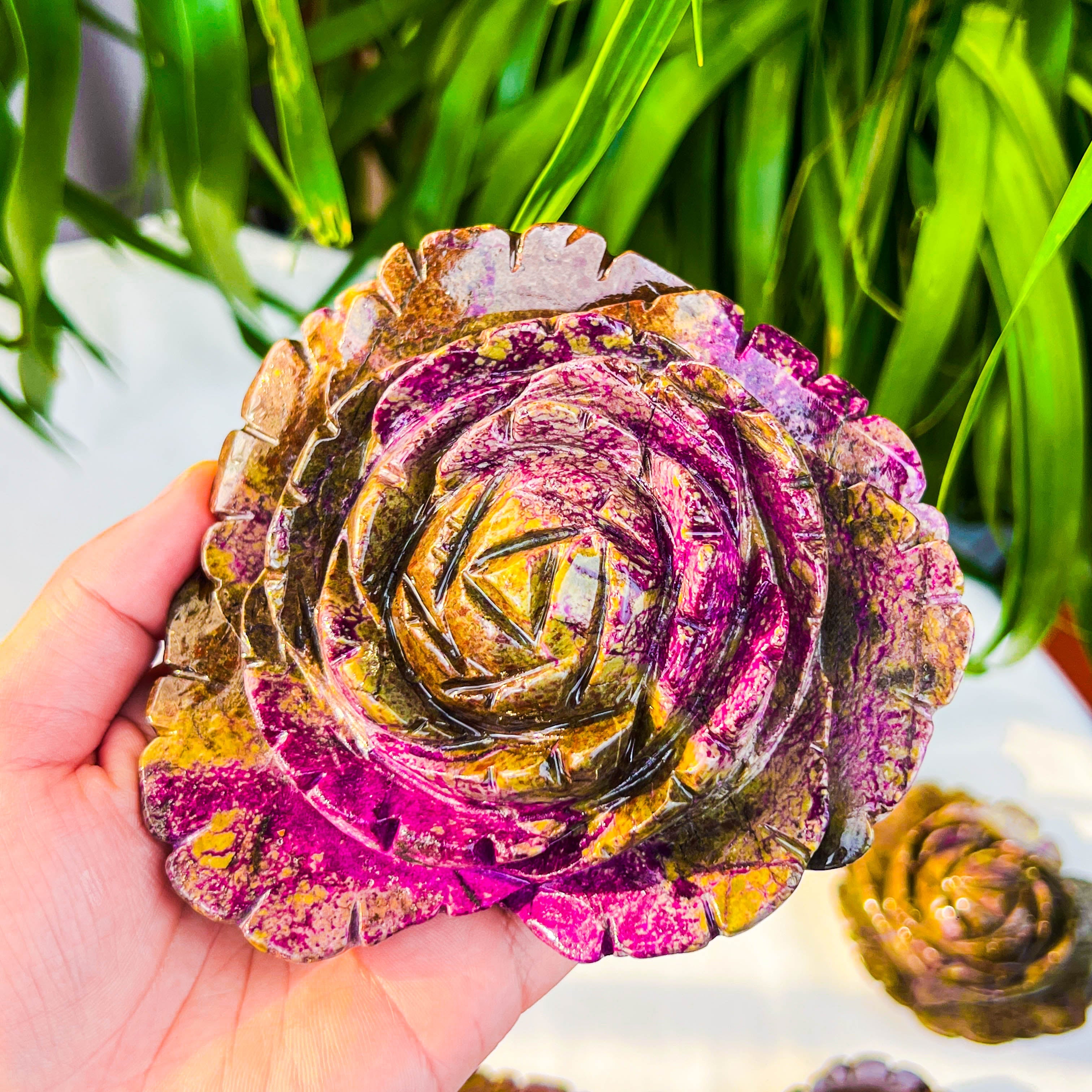 Atlantis rose