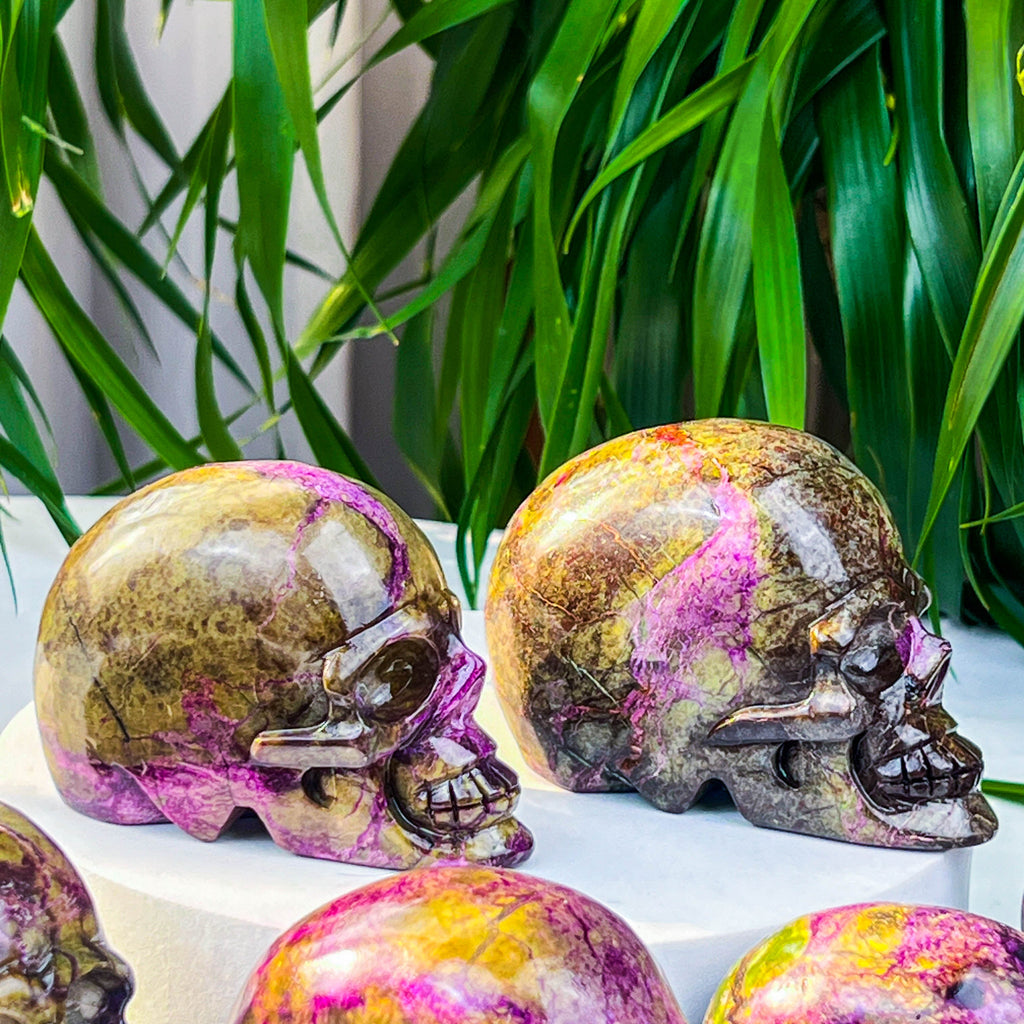 Atlantis skull