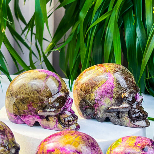 Atlantis skull