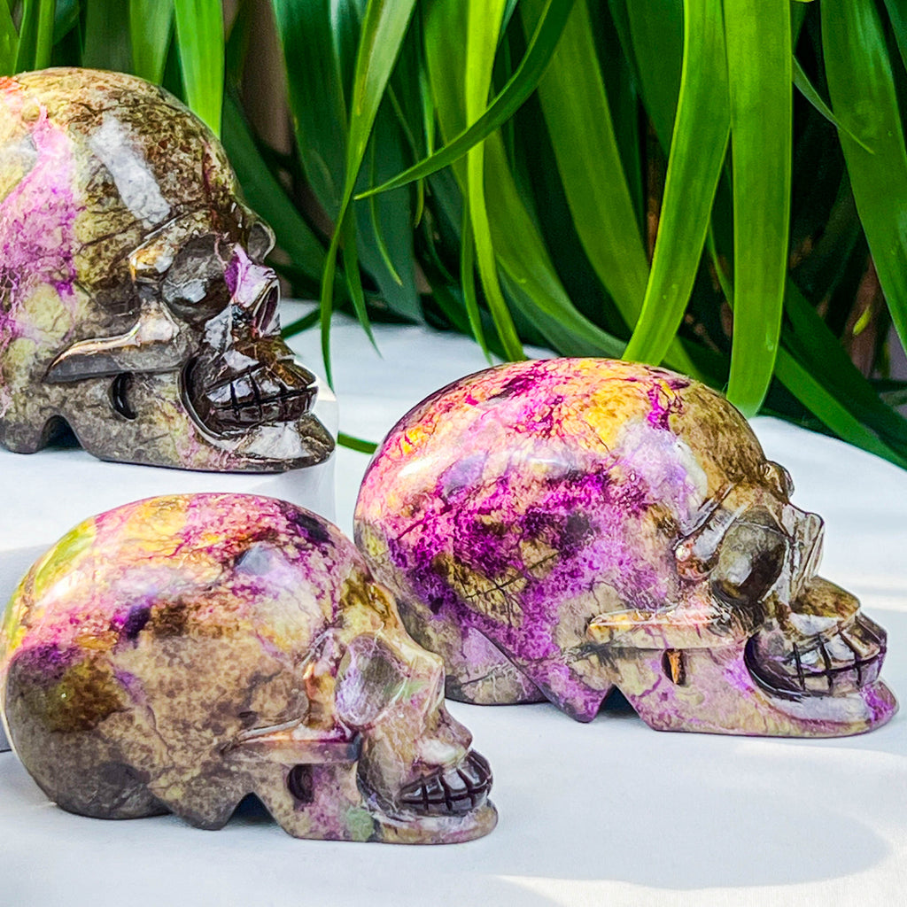Atlantis skull