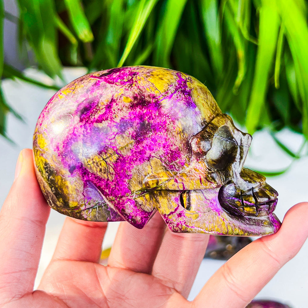Atlantis skull