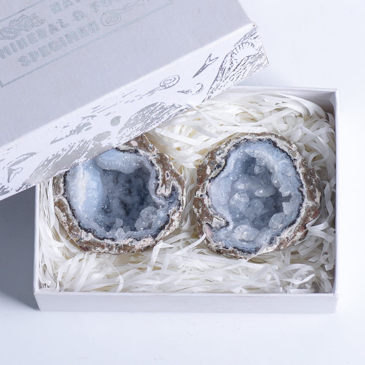 Feather Agate 1 pair Set (big)