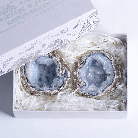 Feather Agate 1 pair Set (big)