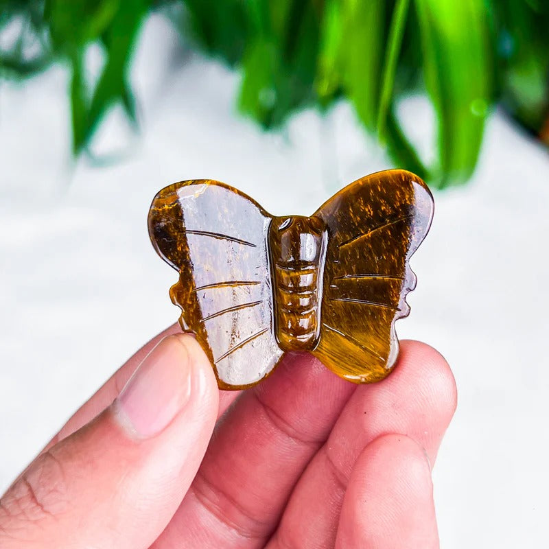 butterfly (small)